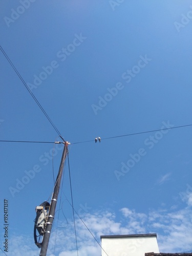 Two birds perched on power line against clear blue sky with clouds