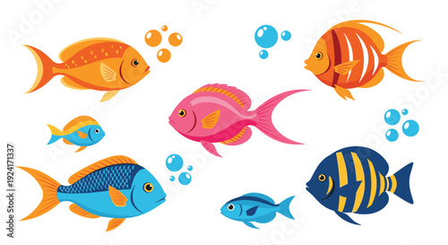 Colorful collection of various tropical fish species with air bubbles, illustrating vibrant underwater marine life in an aquarium.