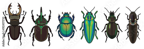 Diverse collection of six illustrated beetles, featuring colorful iridescent and brown species like stag and rhinoceros bugs in a scientific entomology set from a top-down view