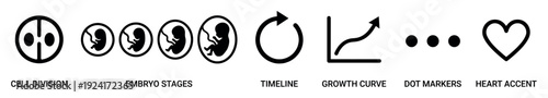 Pregnancy and fetal development icon set with symbols for cell division, embryo growth stages, a timeline, a progress chart, and a heart accent in a minimal linear style