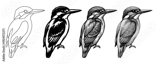 Set of four kingfisher bird illustrations in black and white, showcasing a collection of artistic styles including line art, bold ink, detailed engraving, and stippling