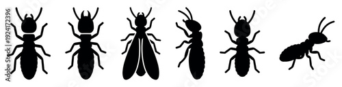 Set of black termite insect silhouettes showing different castes like worker, soldier, and winged alate from top and side views in a simple vector icon style