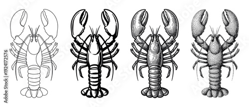 Four black and white lobster illustrations set in a row, showcasing various graphic techniques like simple line art, bold icon, detailed engraving, and stippling dotwork