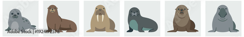 Collection of six cute pinniped illustrations featuring a seal, walrus, sea lion, and elephant seal in a simple, minimalist flat vector cartoon character style