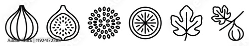 Set of black line art fig icons shows the whole fruit, a half with seeds, a cross-section slice, a leaf, and a branch in a minimalist and graphic collection of symbols