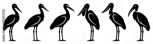 Collection of six black wading bird silhouettes, including storks and herons, standing in a row in various elegant poses in a simple, graphic, and iconic vector design