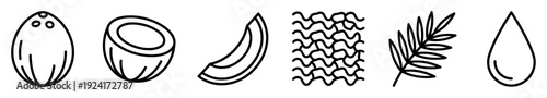Set of black coconut icons showing a whole fruit, half, slice, flakes, palm leaf, and oil drop in a simple hand-drawn line art style for food or cosmetic concepts