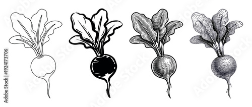 Collection of four beetroot vegetable drawings in black and white, showcasing various graphic styles from simple outline and ink sketch to detailed engraving and dotwork
