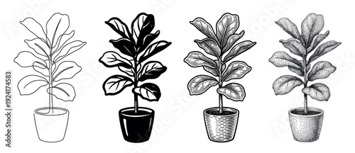 Four fiddle-leaf fig plant illustrations in pots showing different artistic techniques like continuous line art, silhouette, vintage engraving, and dotwork stippling in a graphic set