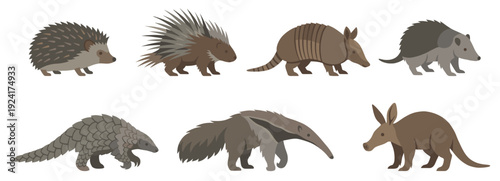Collection of seven wild animal illustrations including a hedgehog, porcupine, armadillo, pangolin, anteater, aardvark, and tenrec in a simple flat vector graphic style