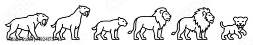 Set of black line art icons showing feline evolution, from a prehistoric saber-toothed cat to a modern male lion, lioness, and a playful cub in a simple minimalist style
