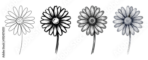 Set of four hand-drawn daisy flowers showcasing different artistic illustration styles including continuous line art, bold brush stroke, vintage engraving, and dotwork stippling