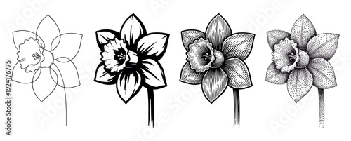 Four black and white daffodil flower illustrations showing different artistic styles from minimalist line art to detailed stippling, vintage engraving, and bold graphic design in a single set