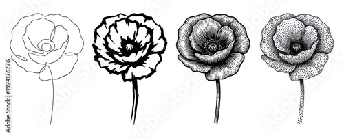 Set of four poppy flower illustrations showcasing different artistic techniques including minimalist continuous line, bold graphic silhouette, vintage engraving, and dotwork stippling