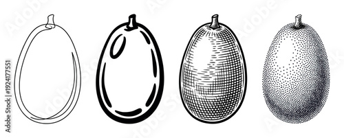 Four stylized black and white oval fruits are depicted side-by-side, showcasing different artistic drawing techniques from simple outline to detailed stippling and engraving