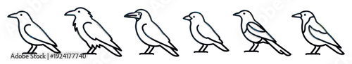 Six stylized black outline birds standing in a row, each depicted in profile with subtle color variations within the minimalist, illustrative design