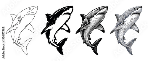 Four distinct shark illustrations showcasing various artistic styles, including minimalist line art, bold brush strokes, detailed engraving, and intricate stippling, all rendered in black and white
