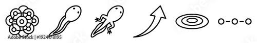 Black outline icons illustrating frog life cycle stages, including eggs, tadpoles, and an arrow, symbolizing growth, evolution, and biological development in a clear, educational graphic
