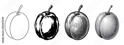 Four black and white stylized plum illustrations showcasing diverse artistic techniques including outline, brushstroke, engraving, and stipple art, presented in a graphic design context