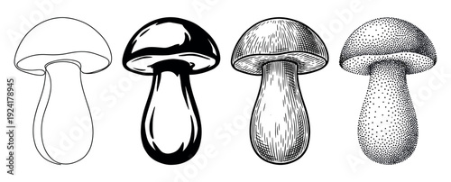 Four stylized black and white mushroom illustrations showcase distinct artistic rendering techniques, including continuous line, solid silhouette, detailed engraving, and intricate stippling