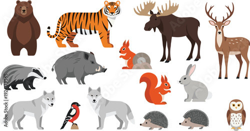 Wild forest animals flat vector set with bear deer wolf and squirrel