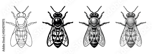 Four stylized black and white bee illustrations showcase diverse artistic techniques, featuring outline, solid, engraved, and stipple styles, each depicted from a precise overhead view