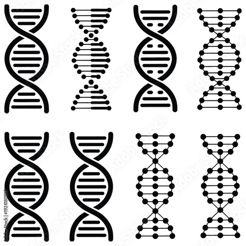 DNA strand on white background, modern vector illustration depicting double helix, genetic code, molecular biology, scientific research, genomics studies, and creative or professional digital and 