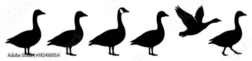 Six black goose silhouettes, including one Canada goose, depict various poses, including standing and flying, rendered in a clean, graphic illustration style