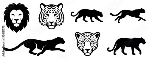 Stylized black and white big cat illustrations feature majestic lion, tiger, and leopard heads alongside powerful panther silhouettes in various dynamic poses, rendered with bold graphic lines
