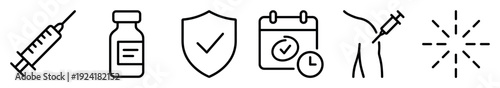 Set of six black line medical vaccination icons, including a syringe, vial, shield, calendar, arm injection, and radiating lines, presented in a clean, modern, and informative graphic style