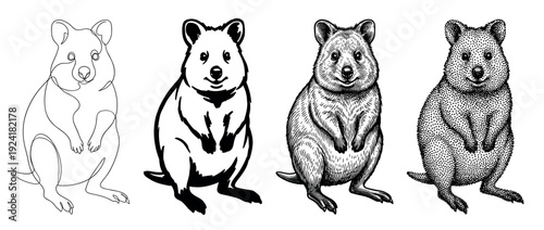 Four adorable quokka illustrations in varying artistic styles, including continuous line, bold outline, detailed engraving, and stipple art, all depicted standing with a cheerful expression
