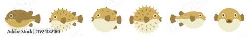 Six cartoon pufferfish illustrations showcasing various inflation stages, from deflated to fully puffed with prominent spikes, presented in a playful, flat design style
