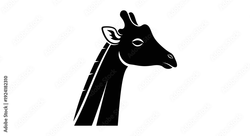 Fototapeta premium Black silhouette of a giraffe's head and long neck in profile against a white background.