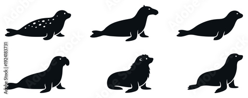 Six black graphic seal and sea lion silhouettes are depicted in various poses, showcasing different marine mammal forms with a clean, illustrative style