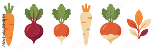 Colorful stylized root vegetables and autumn leaves are arranged horizontally in a charming, flat illustration with a warm, inviting palette