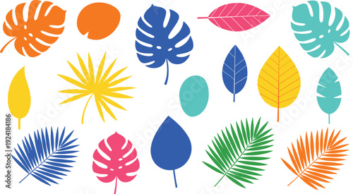 Colorful tropical leaves flat vector set with abstract botanical nature elements