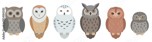 Six distinct cartoon owls with various plumage colors and patterns are depicted in a charming, flat illustration style, showcasing their unique characteristics from a front-facing perspective