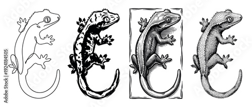 Four distinct black and white gecko illustrations showcasing various artistic styles including continuous line, bold brush strokes, detailed woodcut engraving, and intricate stipple dot art