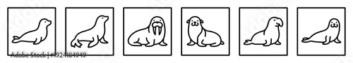 Six adorable line art marine mammal illustrations showcase various seals, a sea lion, and a walrus, each presented in a charming, minimalist, and playful cartoon style