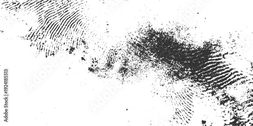 Close up of a black fingerprint smudge with textured ridges on a white background