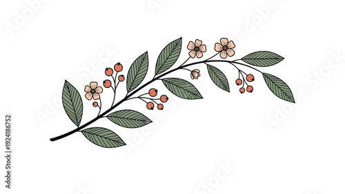 Vibrant botanical branch illustration includes detailed green leaves small pink flowers and bright red berries in a realistic style.