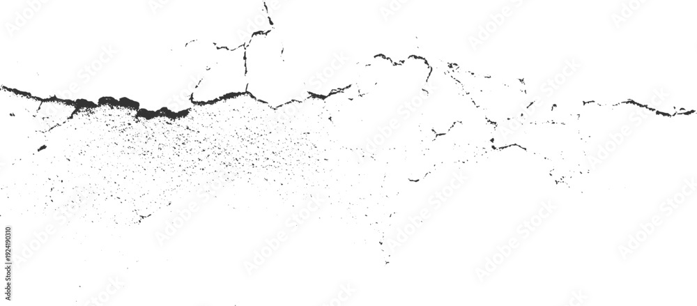 Obraz premium Black cracked texture on white background abstract pattern