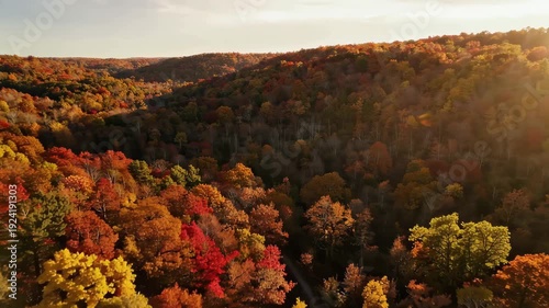 Aerial View of Stunning Autumn Foliage in Vibrant Woodland Landscape
