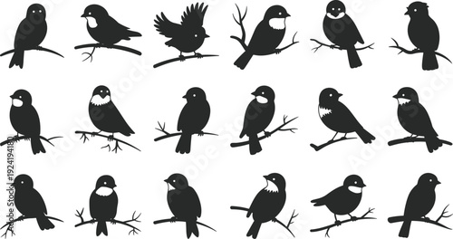 Bird silhouette icon set including perched songbirds, wildlife nature animal vector illustration collection design