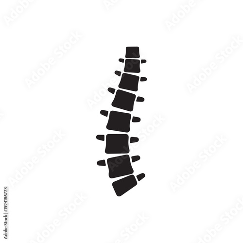 Human spine anatomy illustration  black silhouette of vertebral column  medical diagram  no background