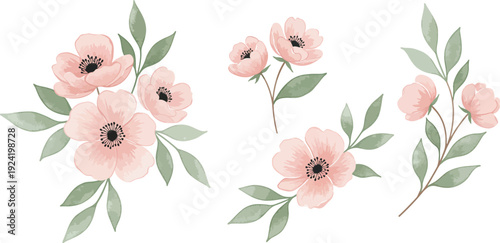 Soft pink flowers with green leaves on white background watercolor illustration
