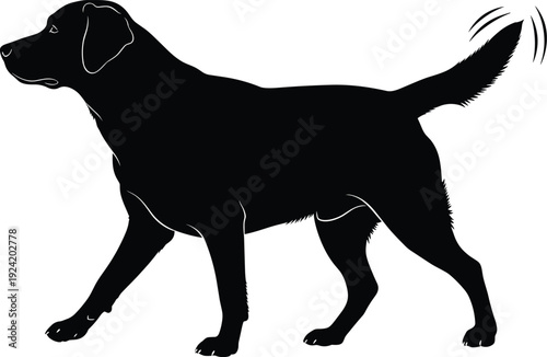 Black labrador retriever dog silhouette walking left with tail wagging black dog walking dog wagging tail