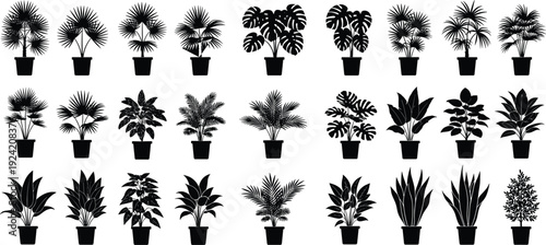 Black and white vector illustration set of various potted houseplant silhouettes featuring monstera leaves palm trees and decorative indoor greenery.