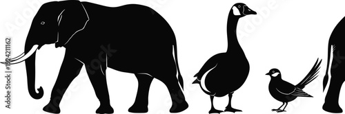 African Elephant, Goose, and Songbird Vector Illustrations