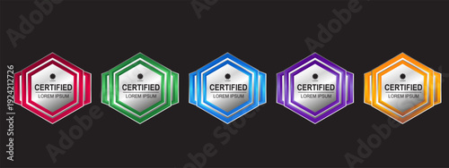 Premium Certificate Badge Hexagon Template Vector Illustration